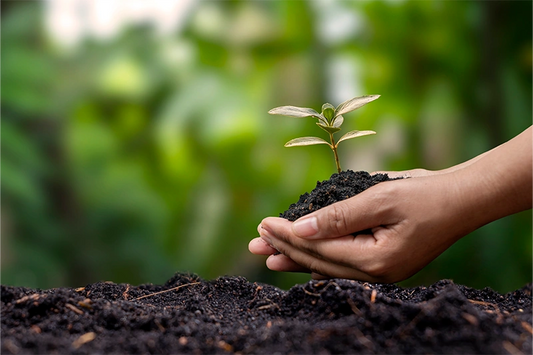 Entdecke den Unterschied zwischen Naturkosmetik und Biokosmetik: Von konventioneller Kosmetik zu zertifizierter Bio-Kosmetik und vegane Kosmetik