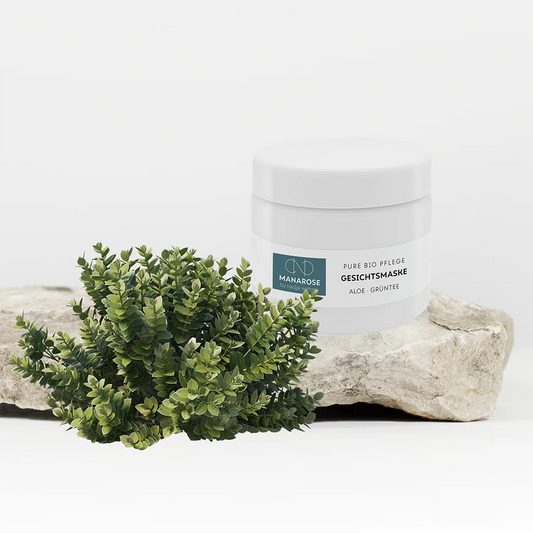 Ein Glas Gesichtsmaske Aloe Grüntee Creme von Manarose Biokosmetik auf einem Felsen neben einer Pflanze, die für intensive Feuchtigkeit sorgt.